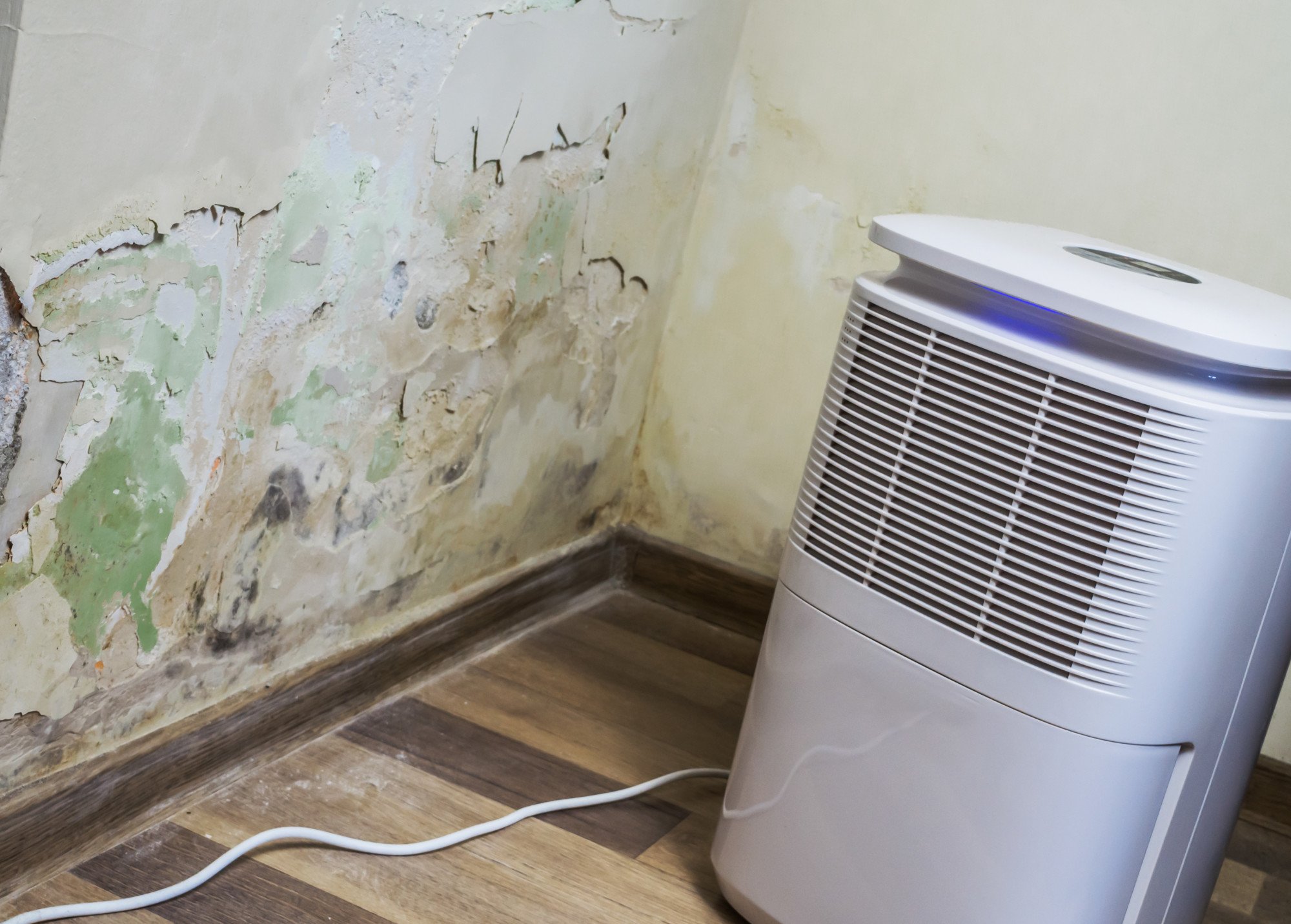 Humidity Control in Port Saint Lucie FL: A Fall HVAC Guide